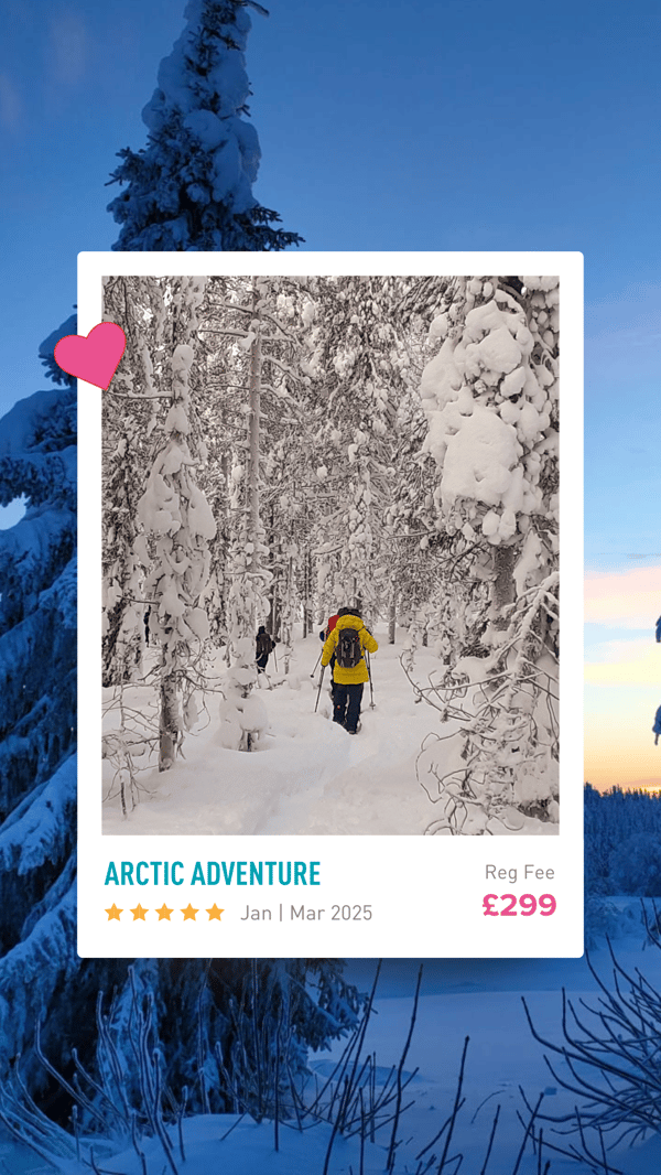 ARCTIC ADVENTURE